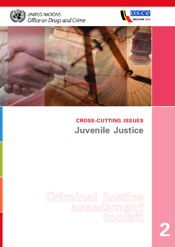 Juvenile Justice – criminal justice assessment toolkit_0.png
